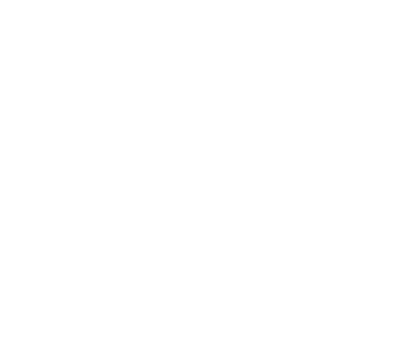 Logo Reversed (White)